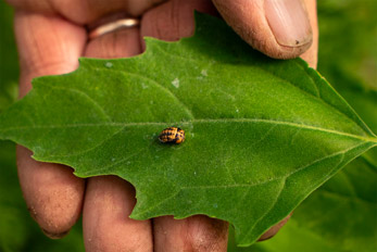 Aiutare la natura Aiutare la natura